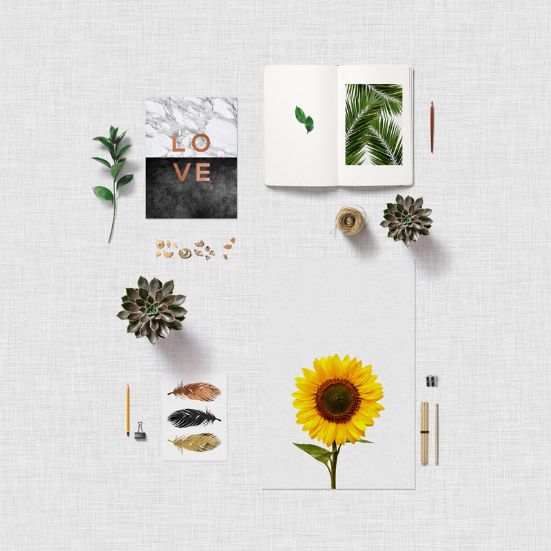 Orara Studio — plakater