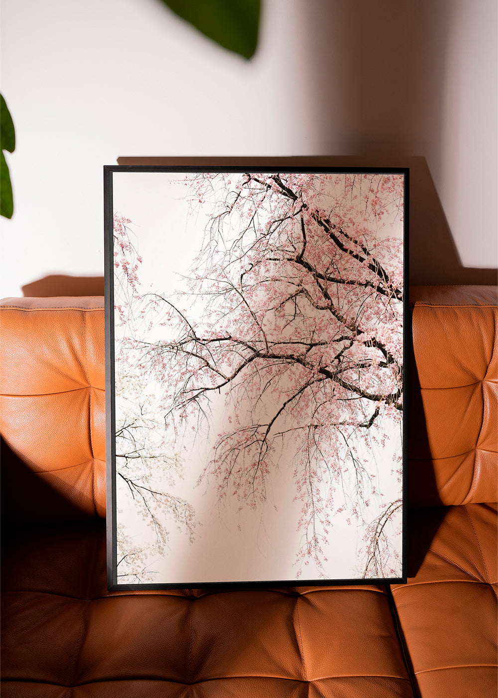 Botanisk plakat · kirsebærblomster i kaskade