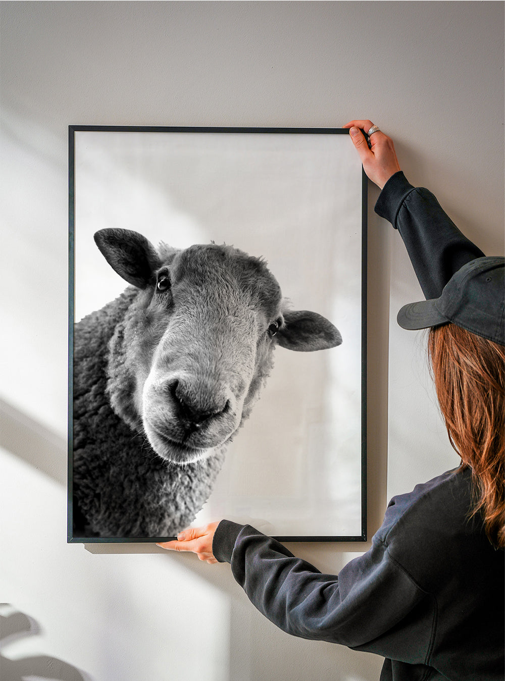 Får kunst i sort-hvid