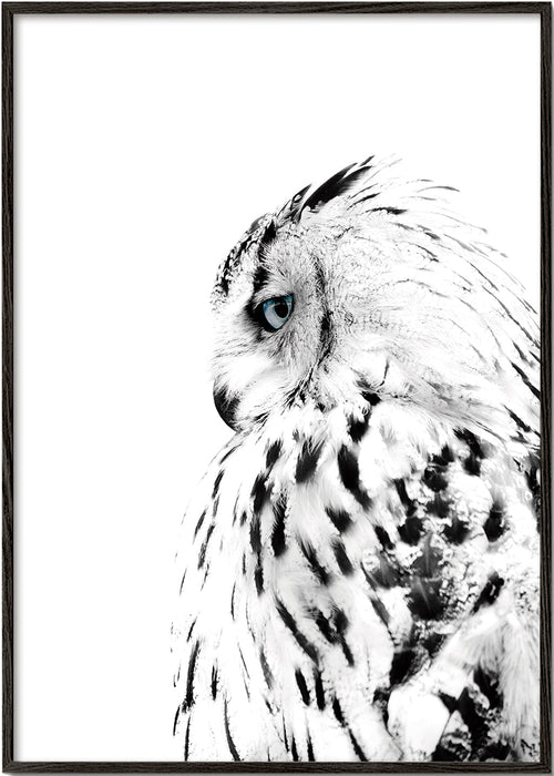 Plakat hvid ugle i profil