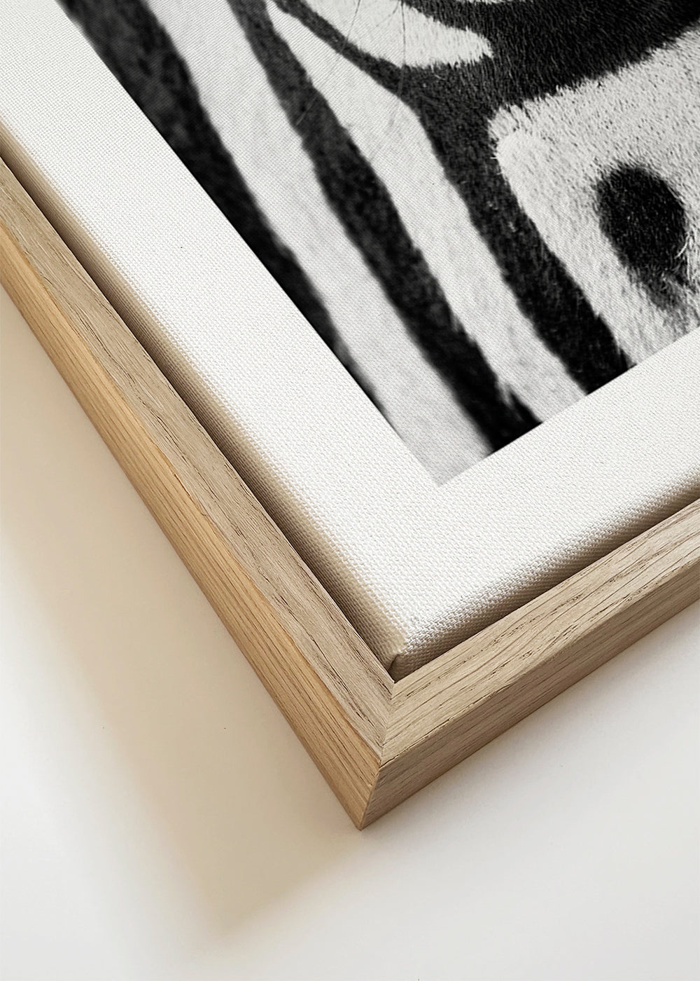 Plakat zebra nærbillede