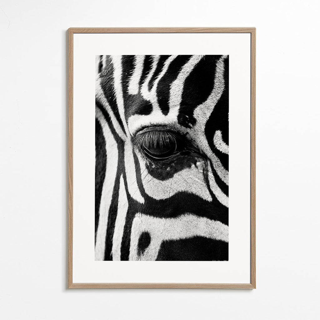Plakat zebra nærbillede