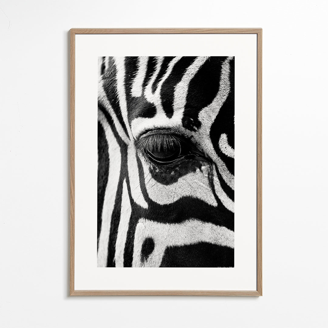 Plakat zebra nærbillede