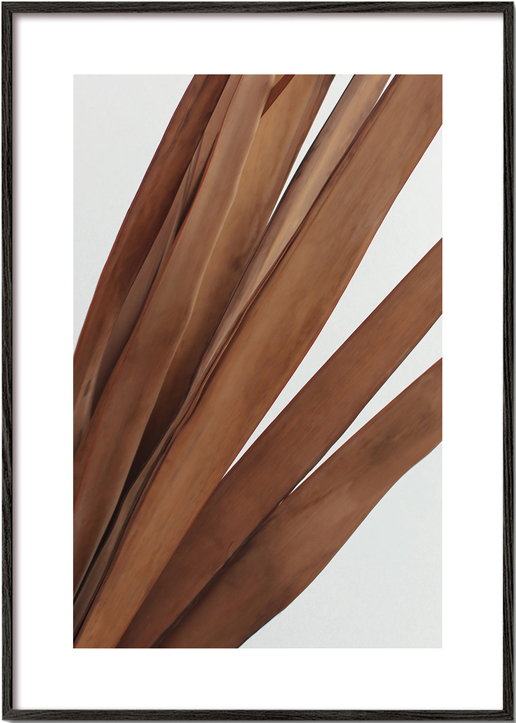 Botanisk plakat tørrede blade vertikal