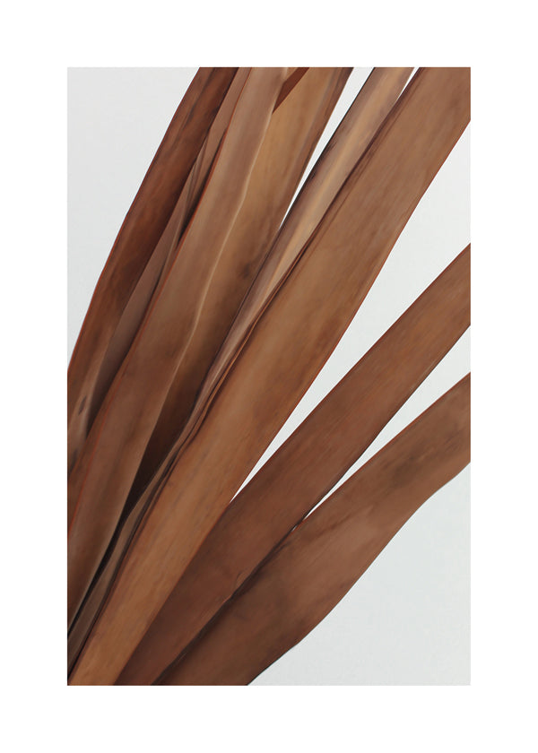 Botanisk plakat tørrede blade vertikal