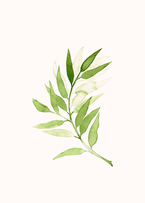 Botanisk plakat: minimalistisk grøn gren