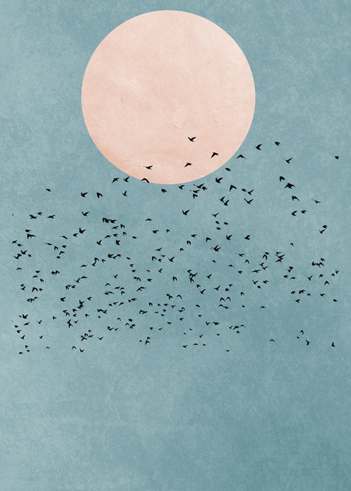 Minimalistisk illustration rosa måne og fugleflok