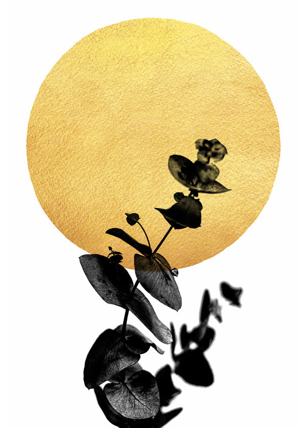 Botanisk plakat: blad-silhuet og gyldent sol