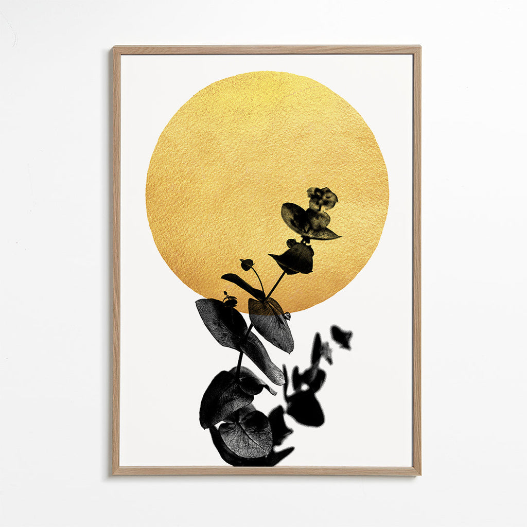 Botanisk plakat: blad-silhuet og gyldent sol