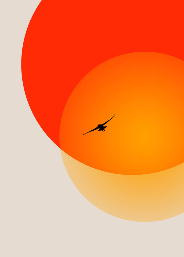 Landskab med geometrisk sol og måge