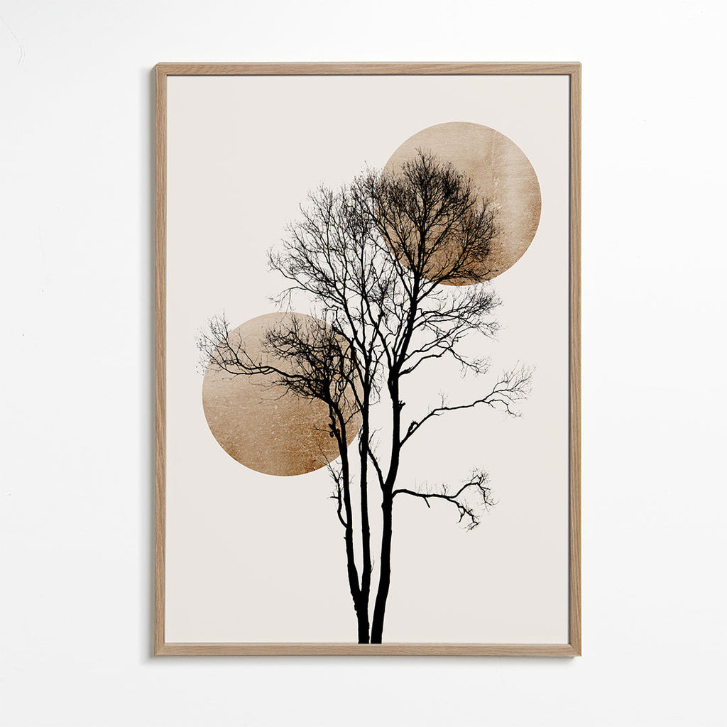 Botanisk plakat: træ-silhuet med gyldne skiver