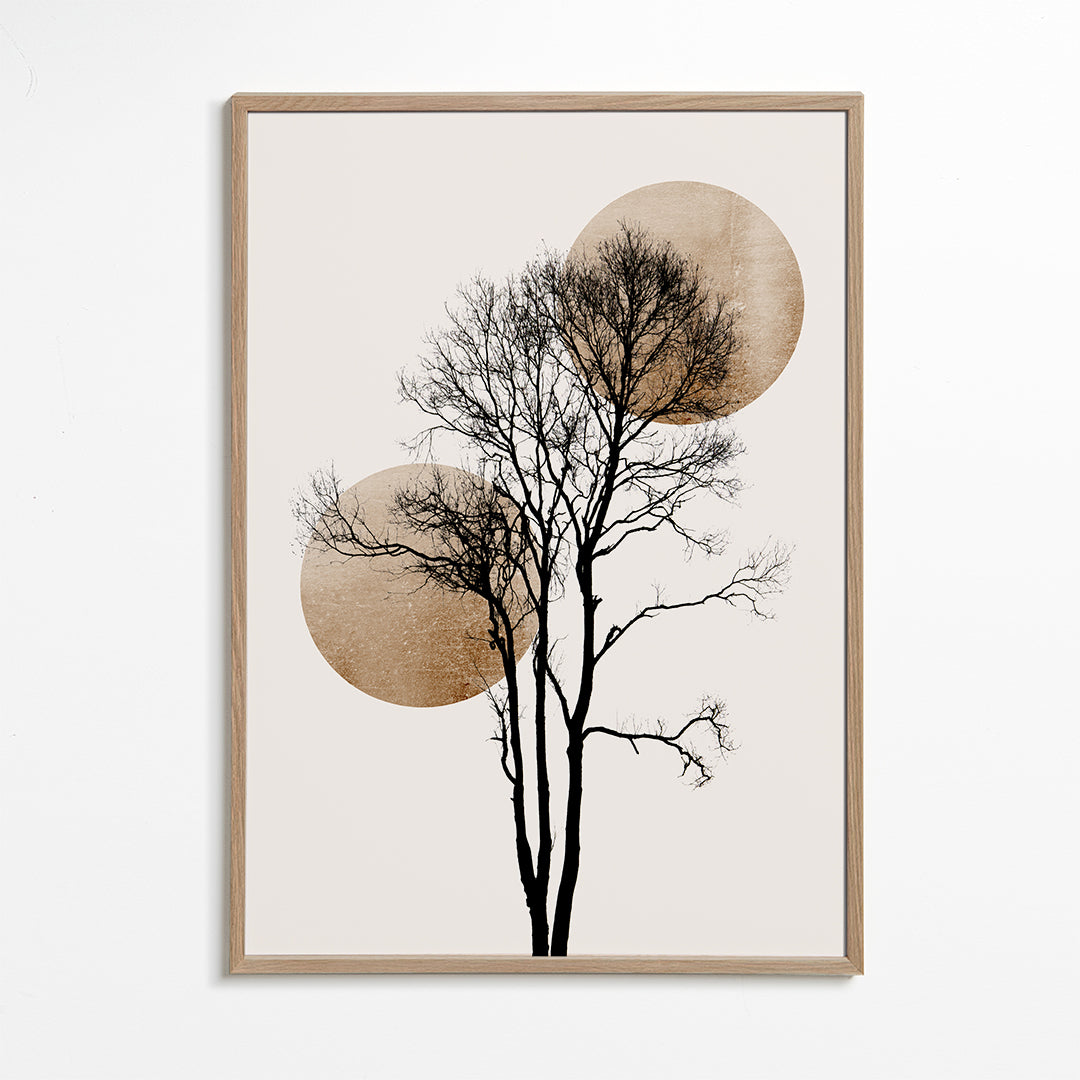 Botanisk plakat: træ-silhuet med gyldne skiver