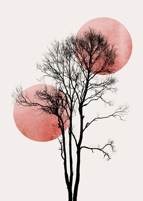 Botanisk plakat: træ-silhuet med rosa cirkler