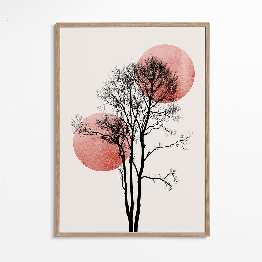 Botanisk plakat: træ-silhuet med rosa cirkler