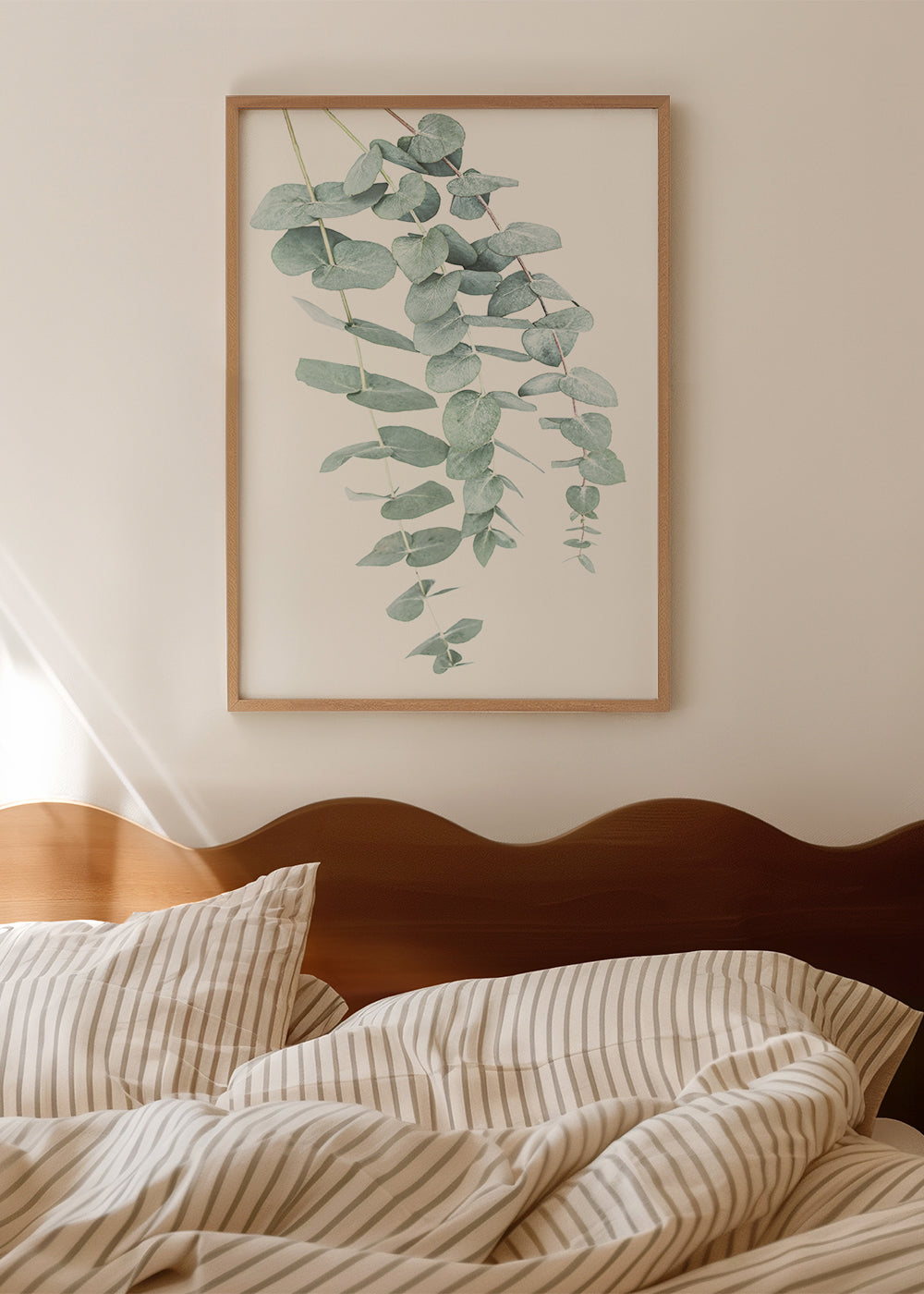 Botanisk plakat med hængende eukalyptus