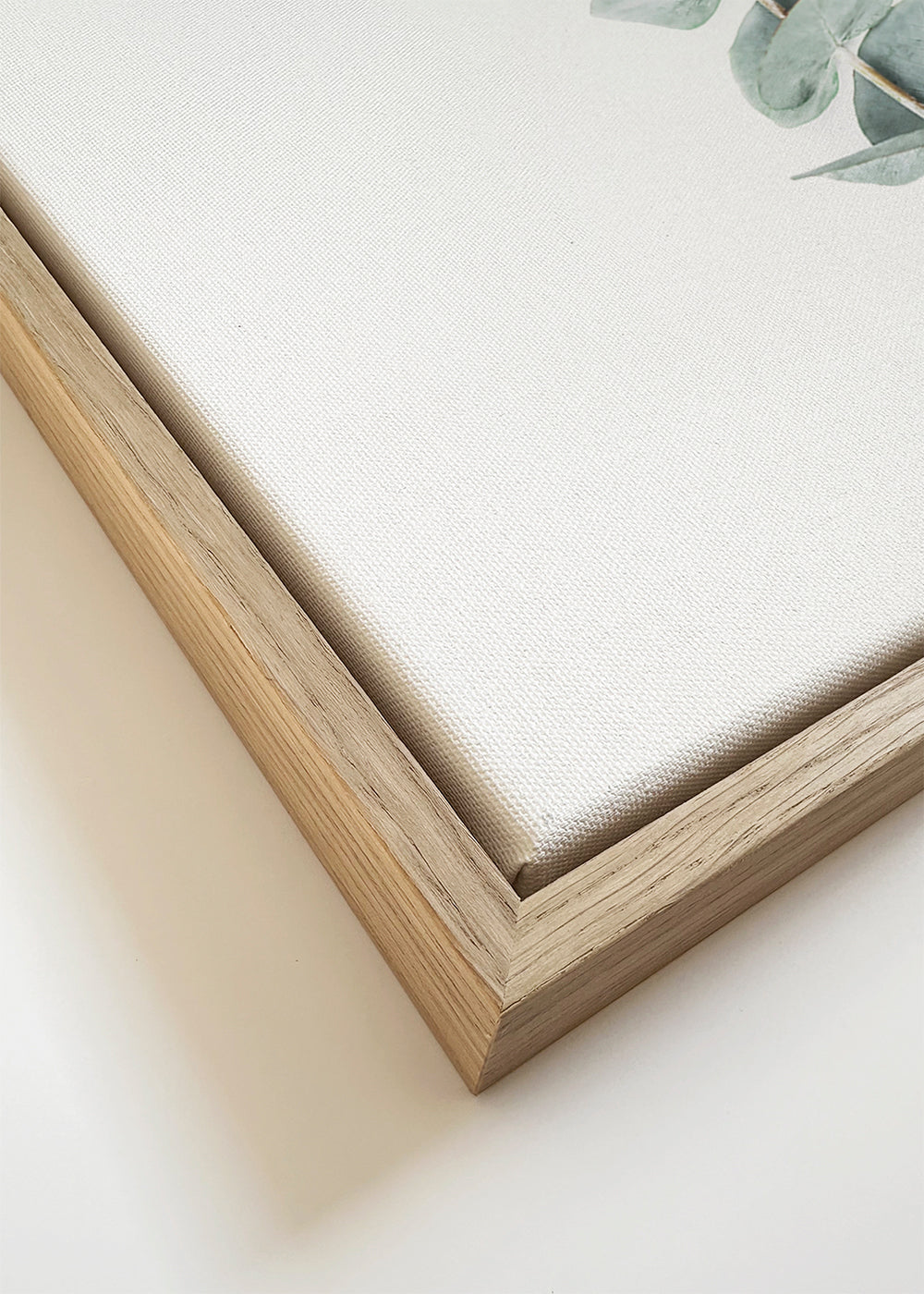 Botanisk plakat: minimalistisk eukalyptusgren