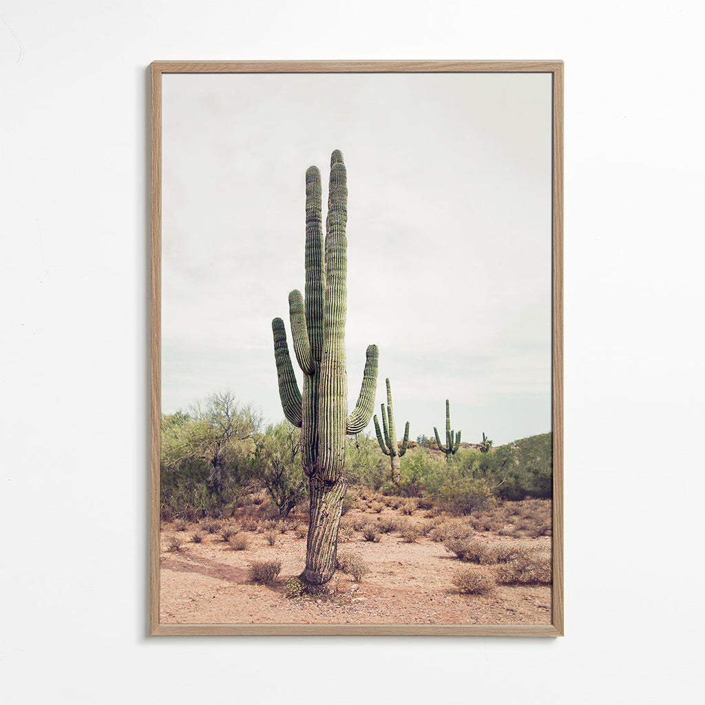 Botanisk plakat: ørkenkaktus i lodret format