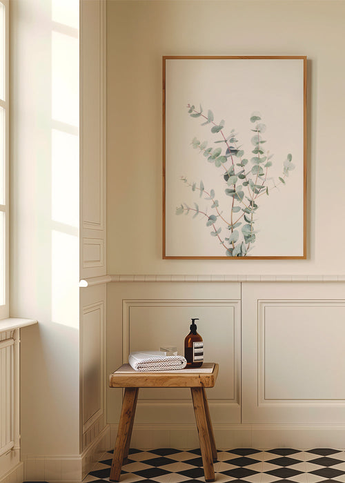 Botanisk plakat: eukalyptusgren på hvid baggrund