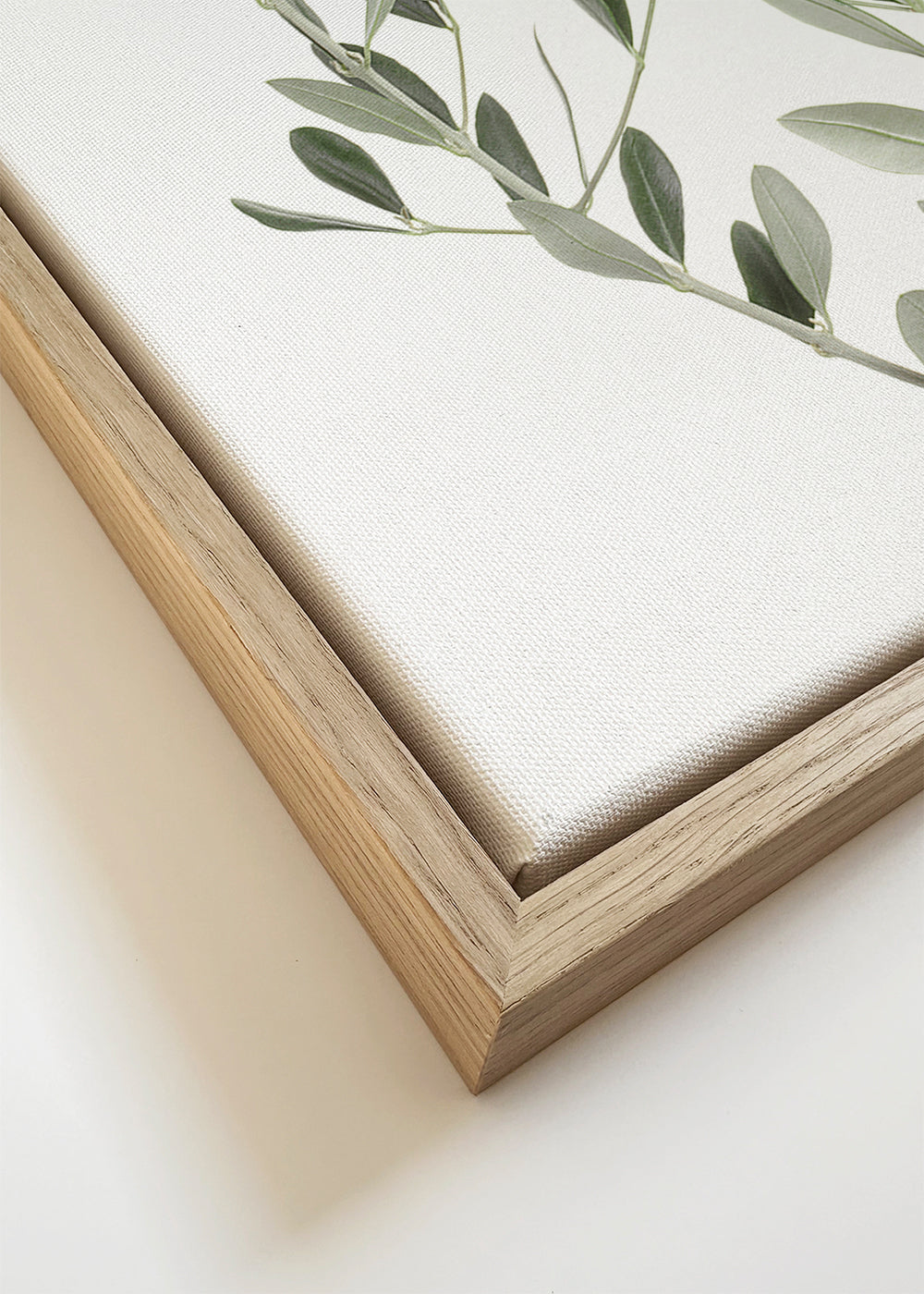Botanisk plakat olivengren minimal