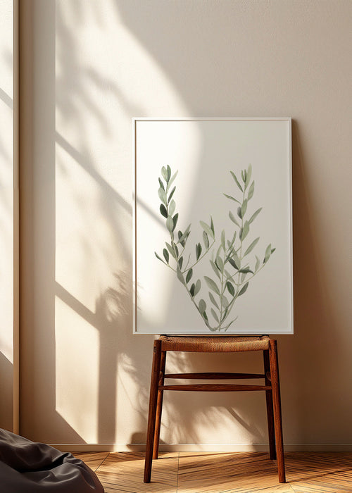 Botanisk plakat olivengren minimal