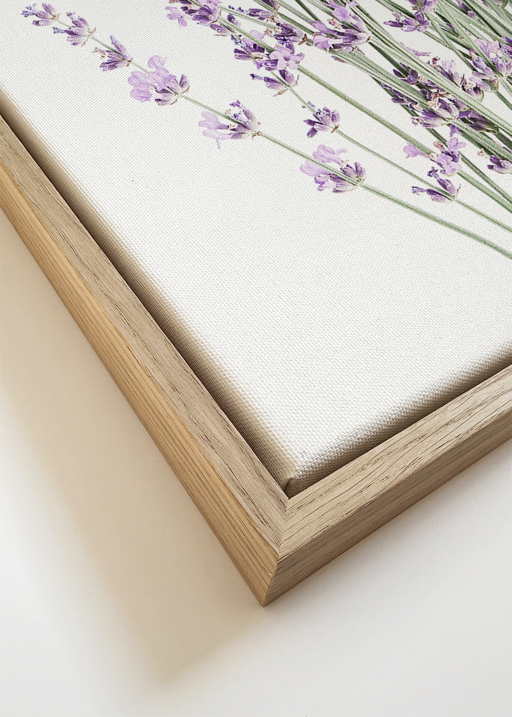Botanisk plakat: lavendelbuket