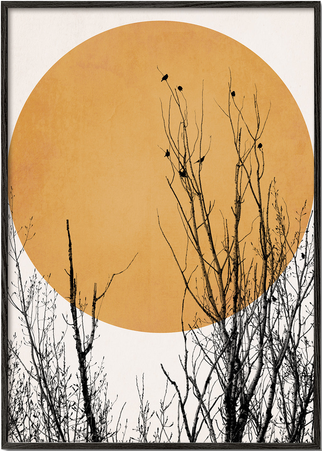 Botanisk plakat oker sol
