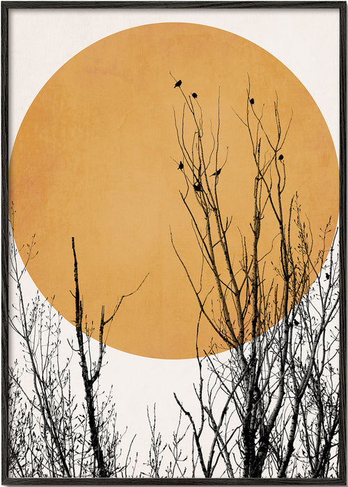 Botanisk plakat oker sol