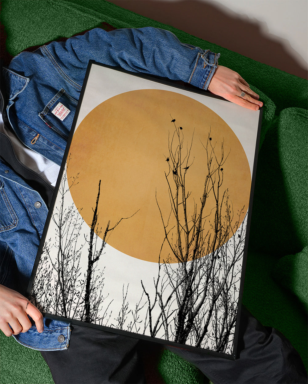 Botanisk plakat oker sol