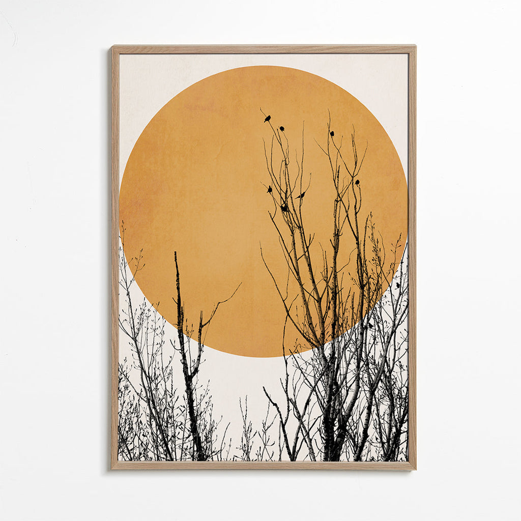 Botanisk plakat oker sol