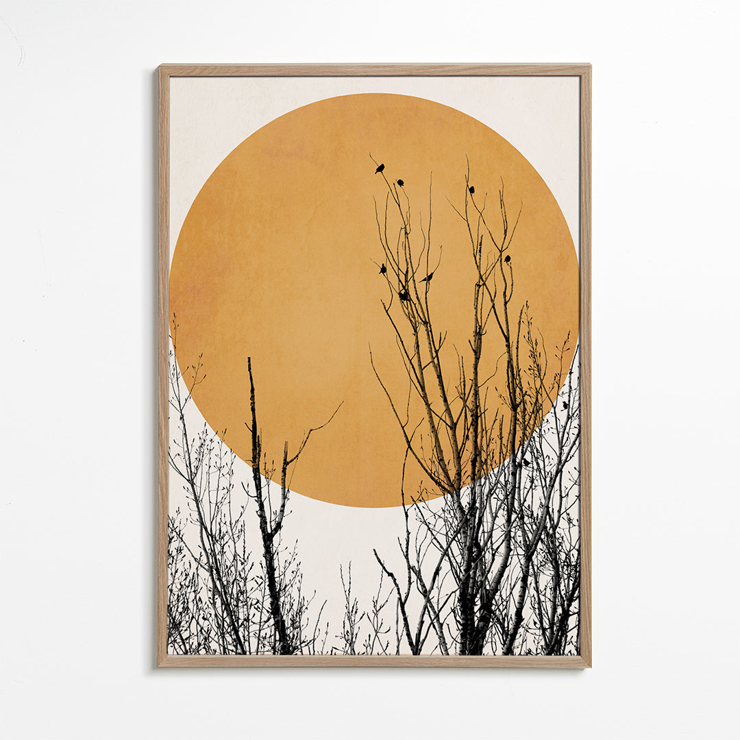 Botanisk plakat oker sol