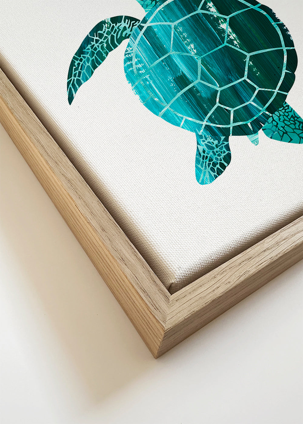 Skildpadde illustration