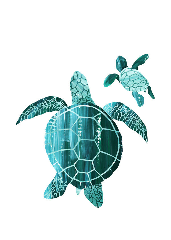 Skildpadde illustration