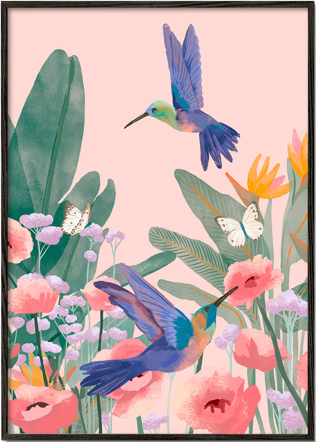 Botanisk plakat med kolibrier og blomster på lyserød baggrund