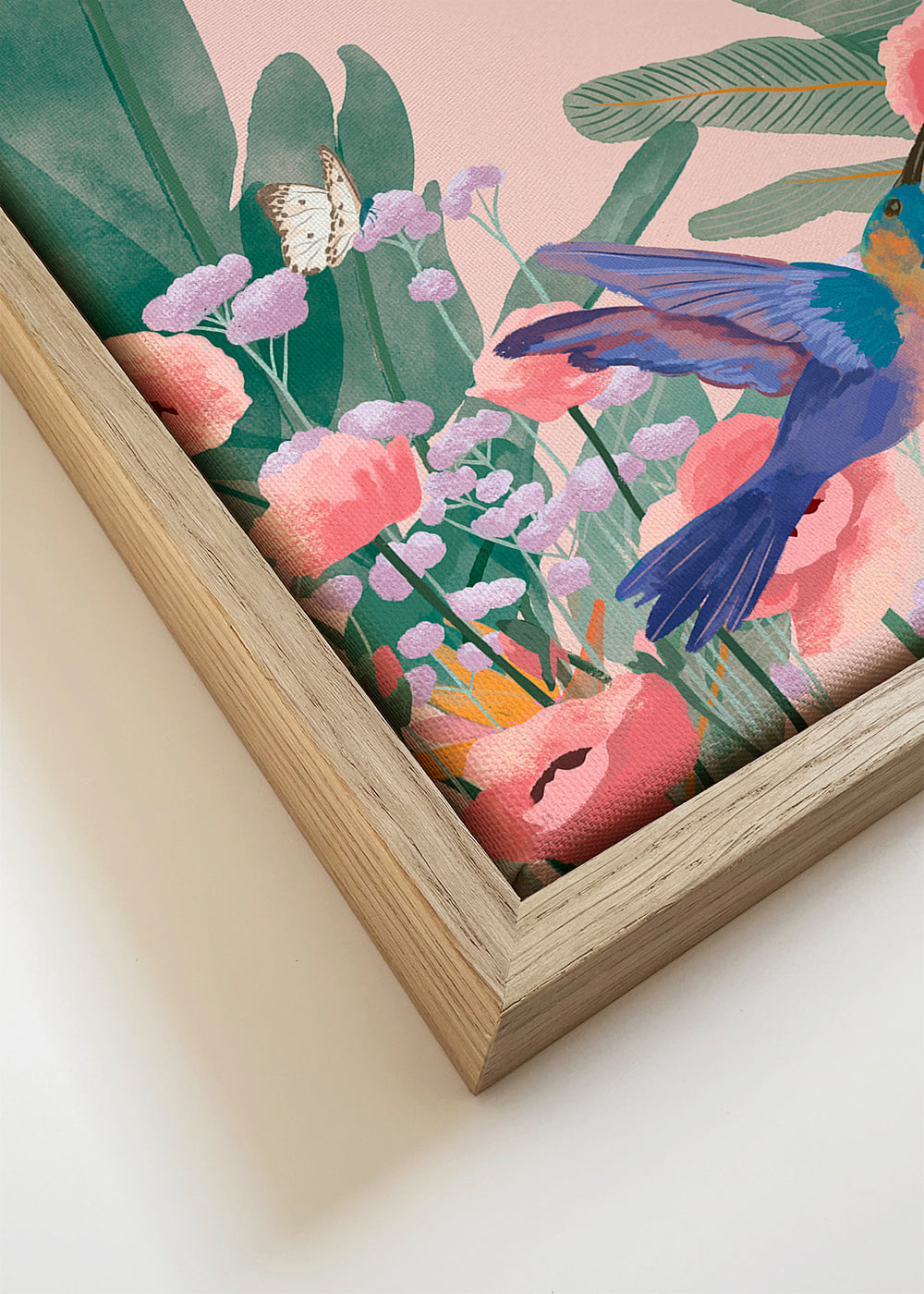 Botanisk plakat med kolibrier og blomster på lyserød baggrund