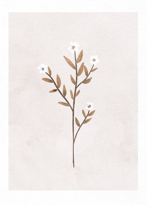 Botanisk plakat med sart minimal gren