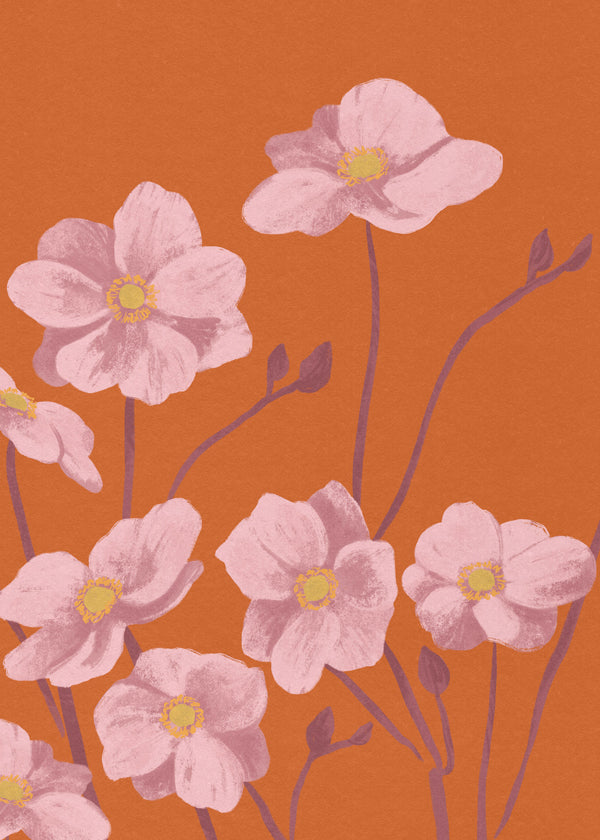 Botanisk plakat Lyserød anemone
