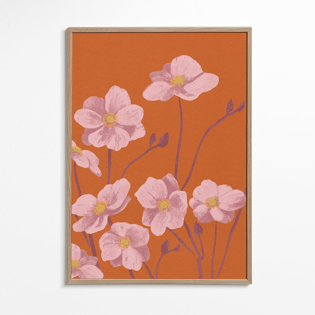 Botanisk plakat Lyserød anemone