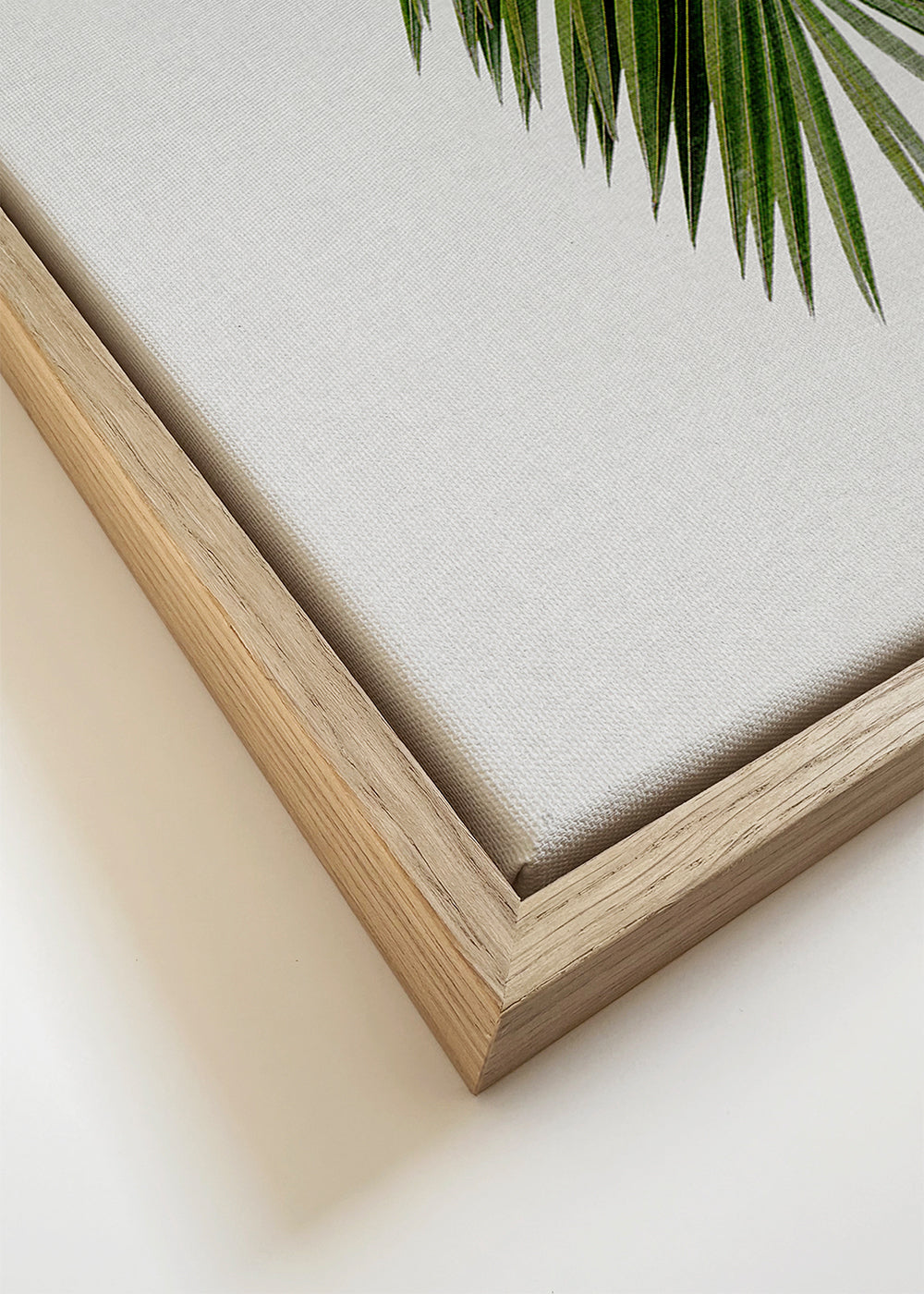Botanisk plakat: vertikalt palmeblad