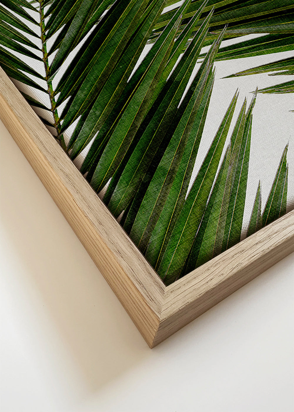Botanisk plakat palmeblade