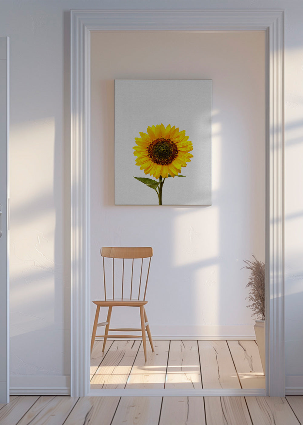 Botanisk plakat: isoleret solsikke