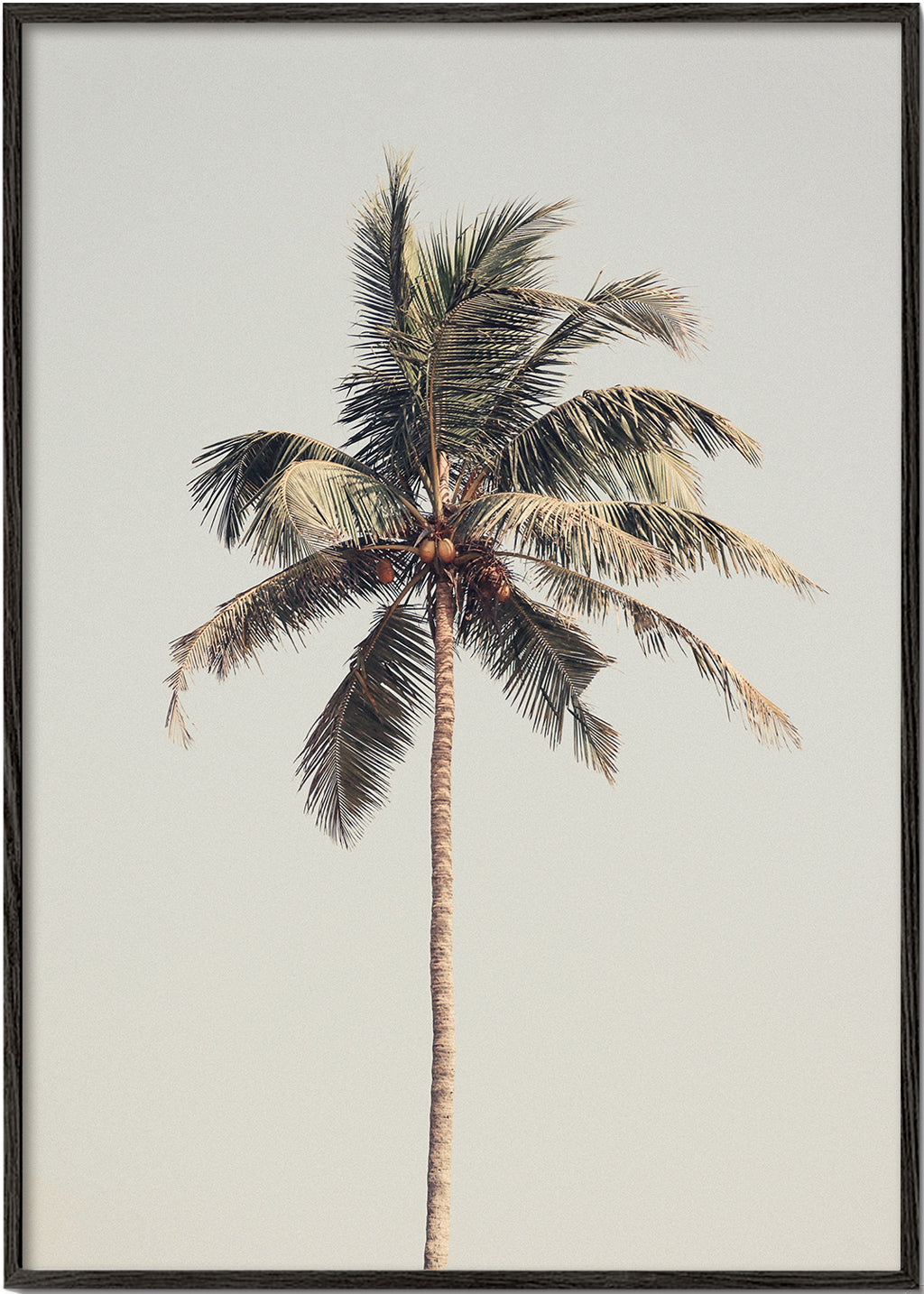 Landskabskunst: ensom palme fotografi