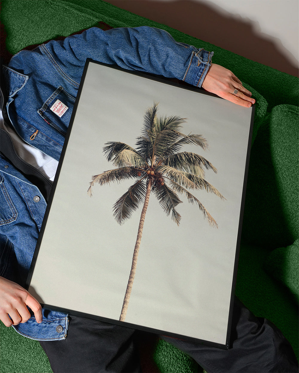 Landskabskunst: ensom palme fotografi