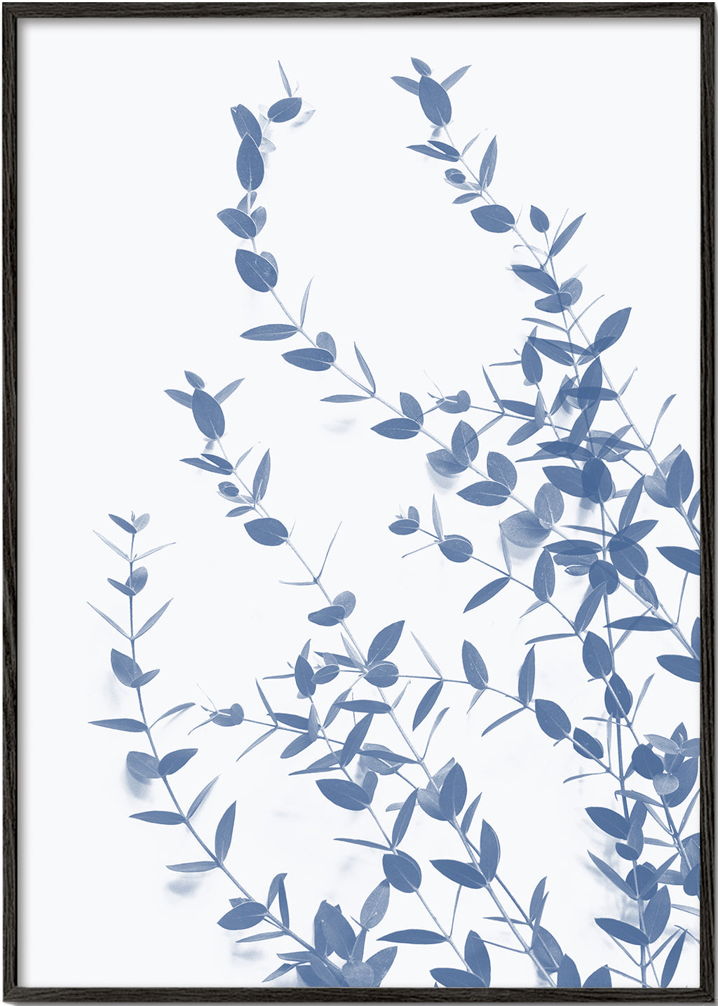 Botanisk plakat blå blade på lys baggrund