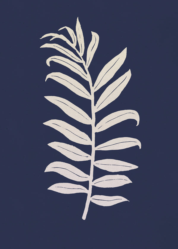 Botanisk plakat: palmeblad på dybblå baggrund