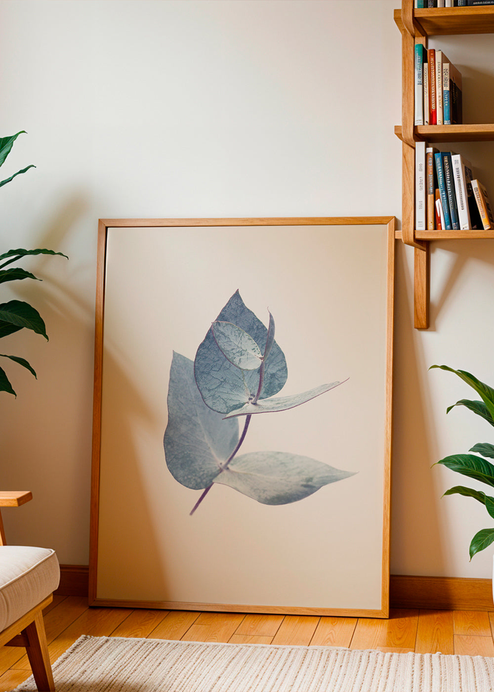 Botanisk plakat: eukalyptusblade i blid blå
