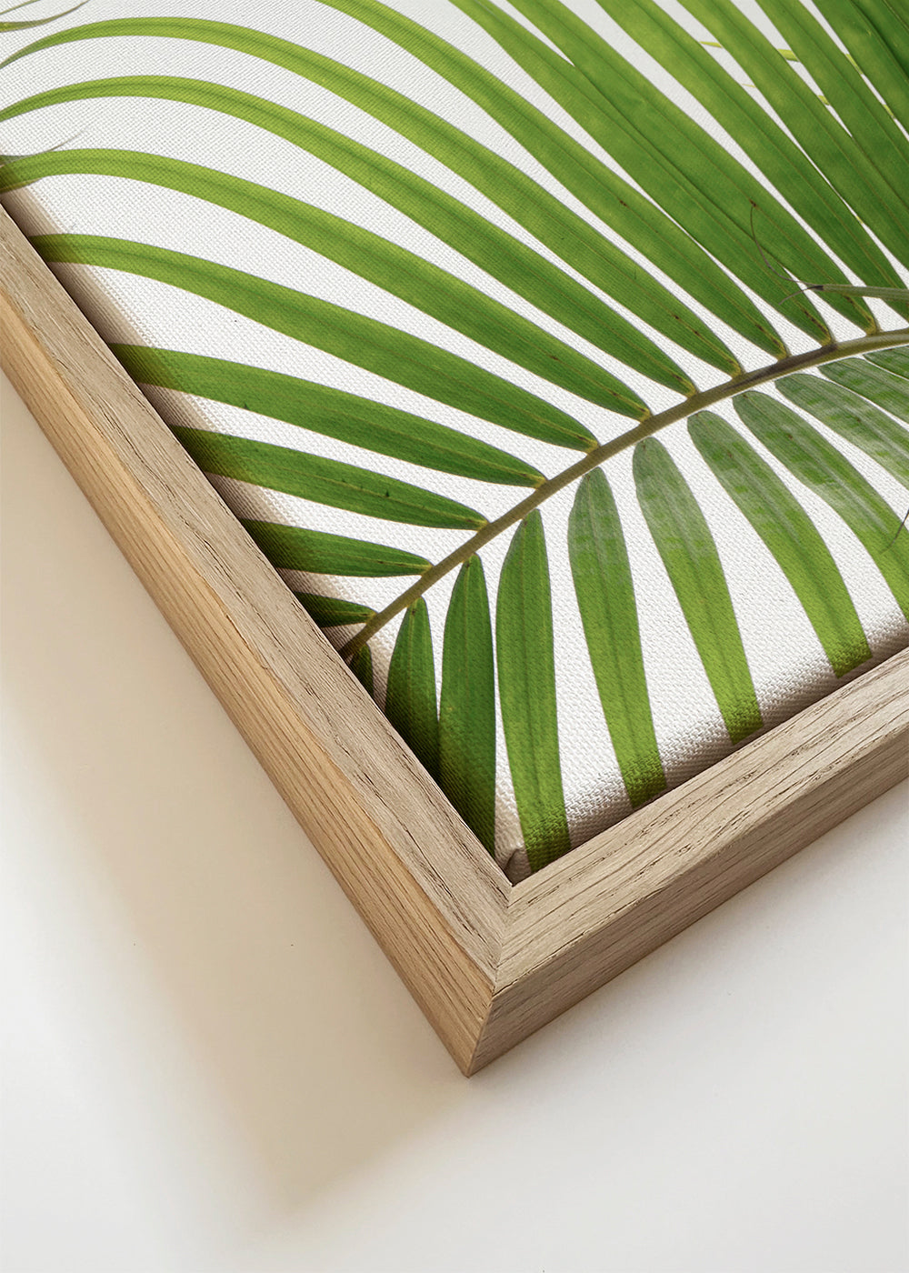 Botanisk plakat med palmeblade