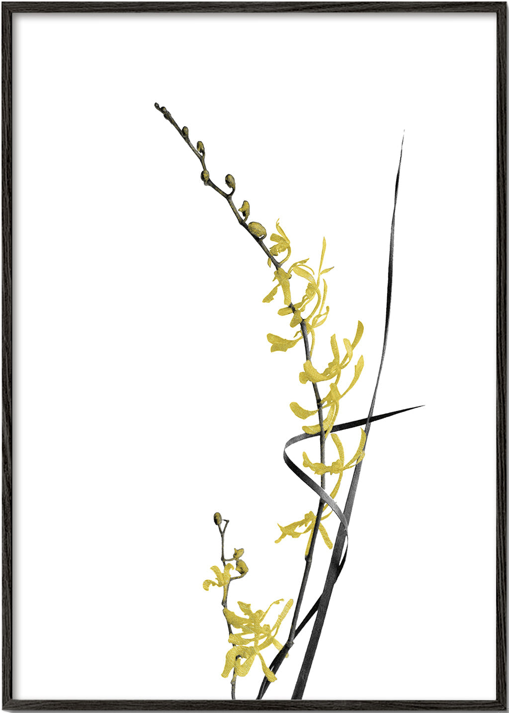 Botanisk plakat: gul orkidé minimal