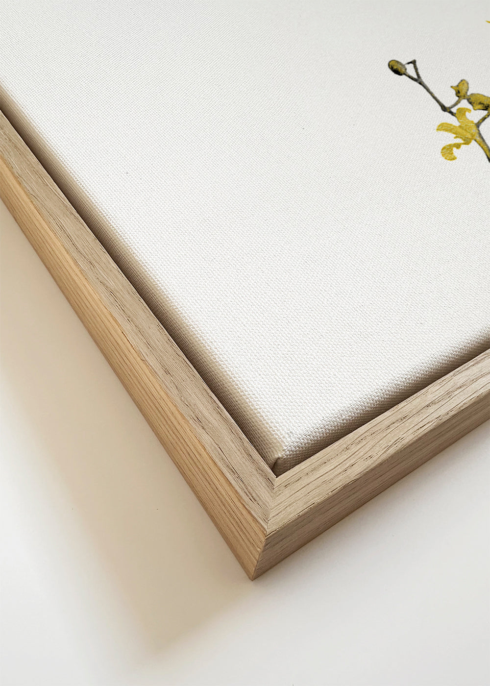 Botanisk plakat: gul orkidé minimal