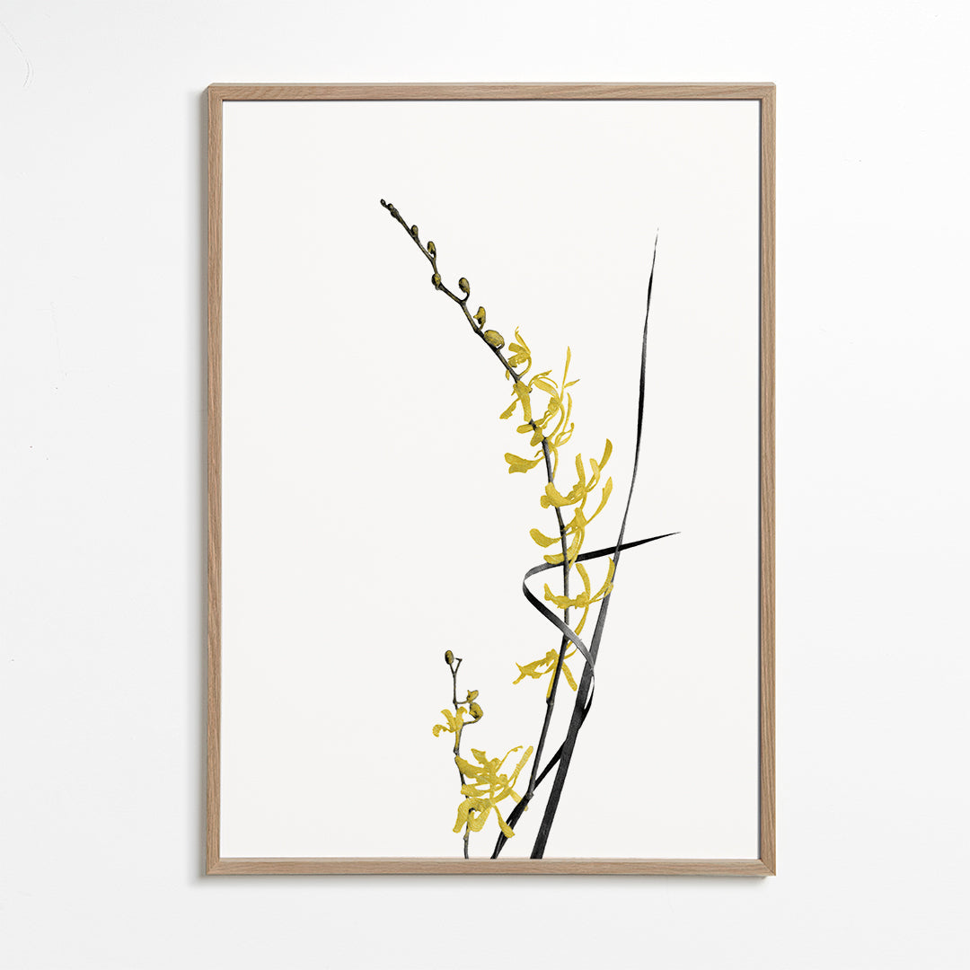 Botanisk plakat: gul orkidé minimal