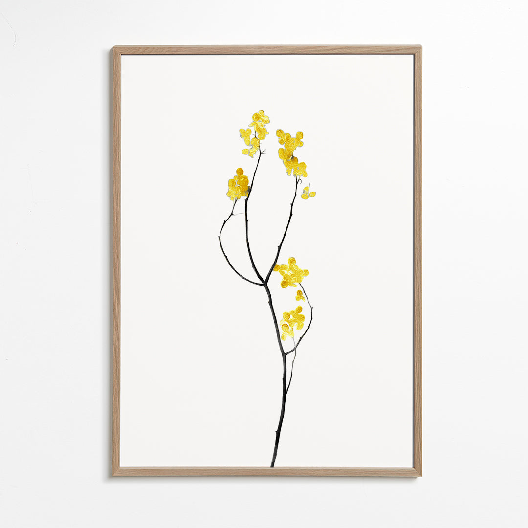 Botanisk plakat med gul gren